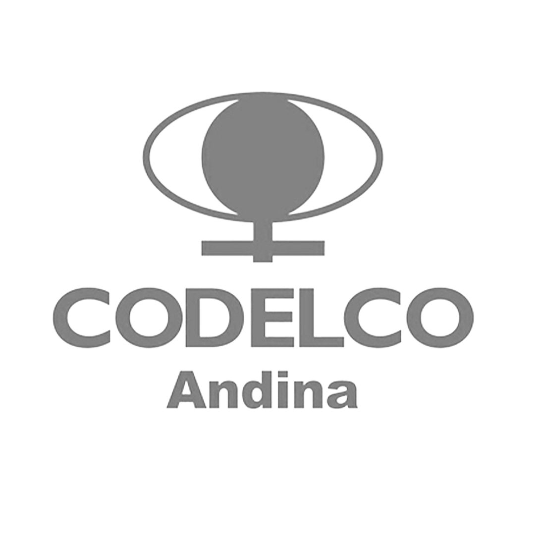 CODELCO Andina
