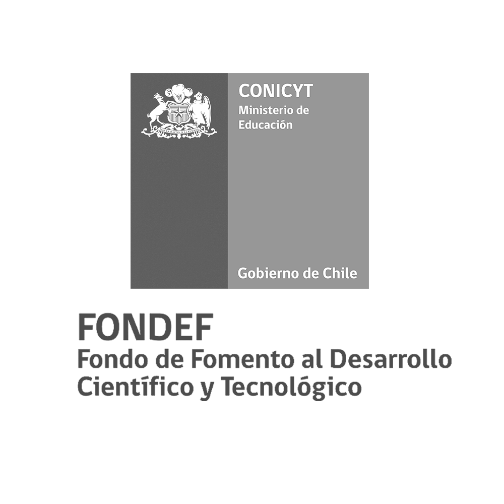 FONDEF Idea